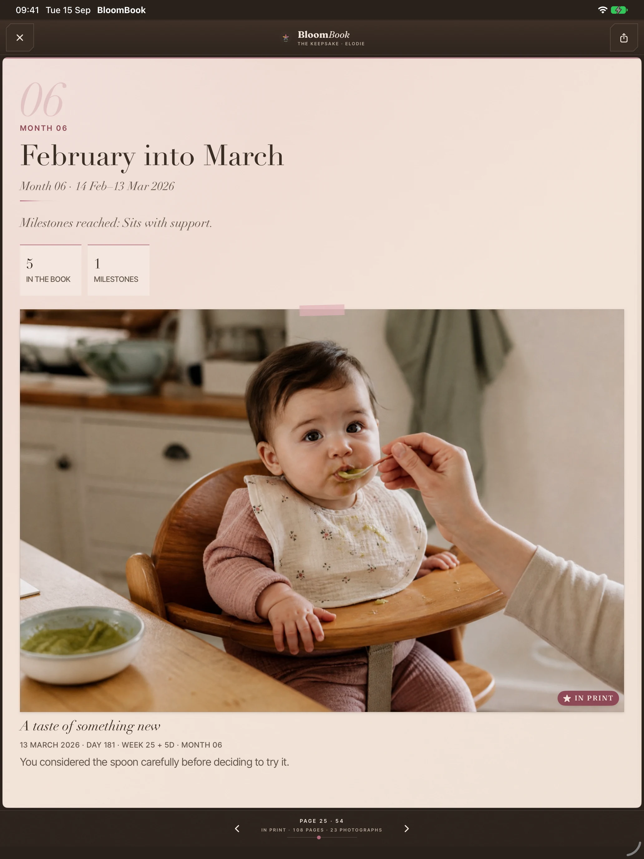 On iPad, photographs and memories arranged across a monthly spread in the BloomBook keepsake reader.