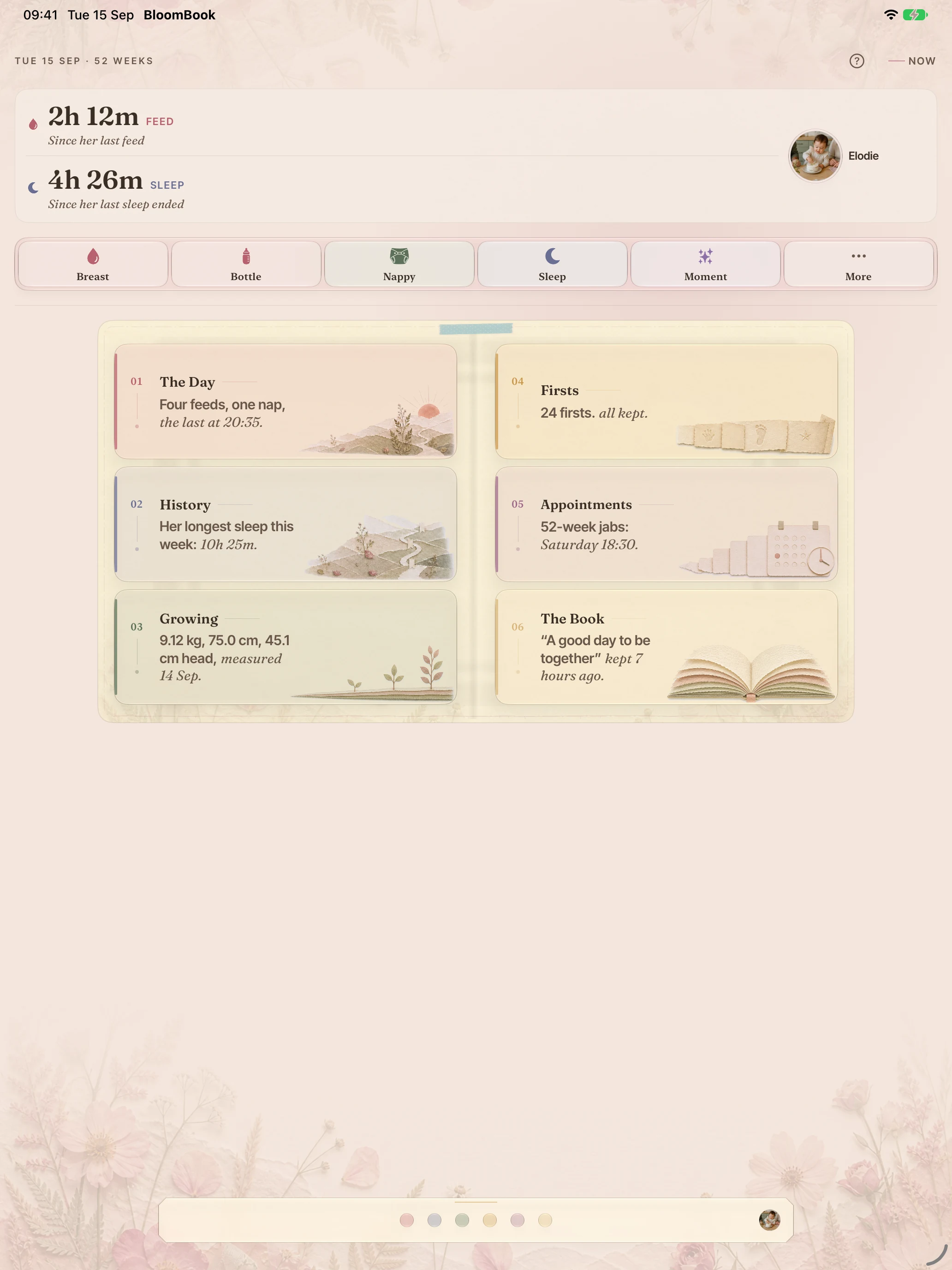 BloomBook on iPad: the Now page with the daily record, quick-log controls and chapters of the baby’s book.