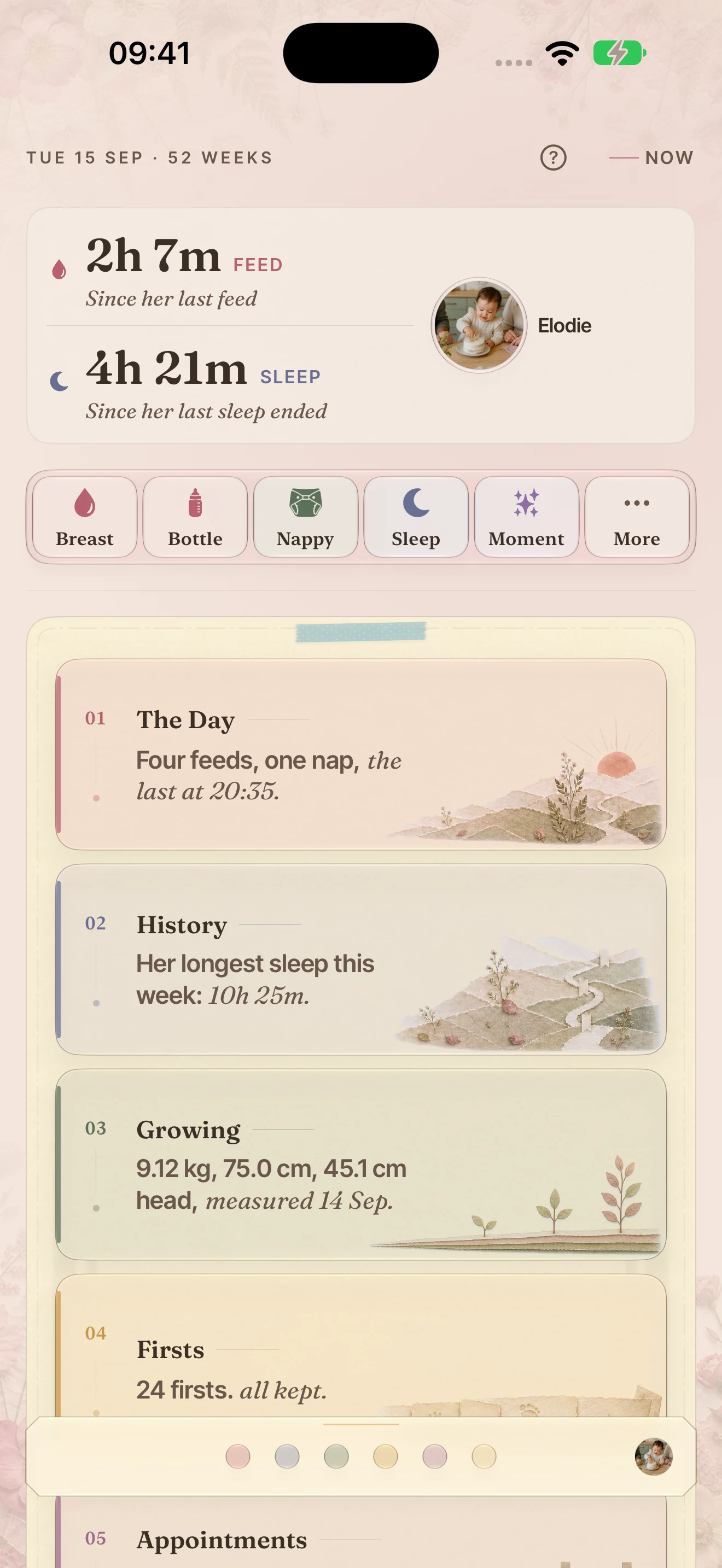 The BloomBook Now page with the daily record, quick-log controls and chapters of the baby’s book.